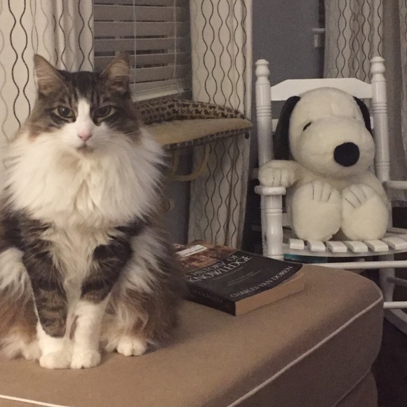 Hi! I’m Nicole and I’m a shopaholic... - Picture 5 of 8